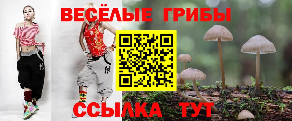 Галлюциногенные грибы MAGIC MUSHROOMS Семилуки