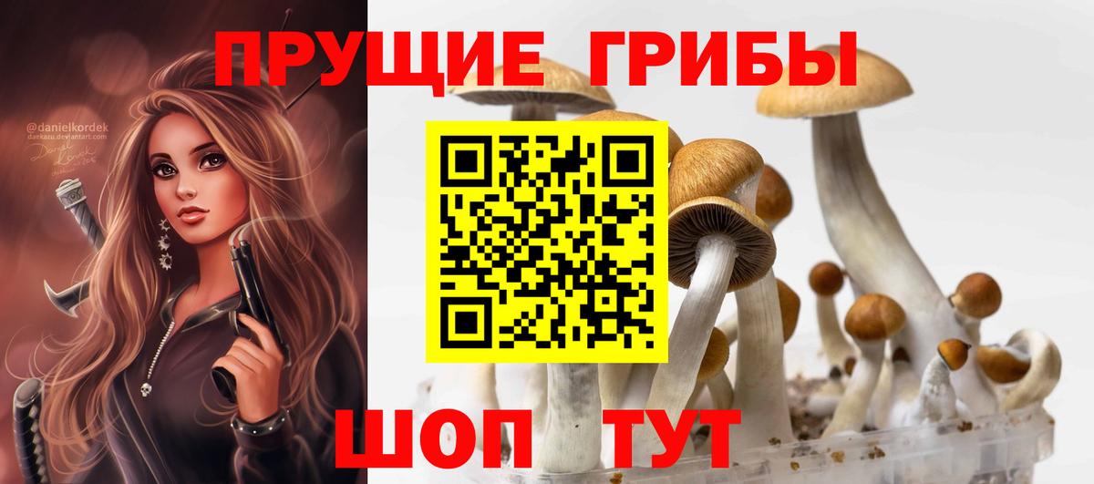 Семилуки  Галлюциногенные грибы Psilocybine cubensis  Галлюциногенные грибы Psilocybine cubensis  Вход с VPN 